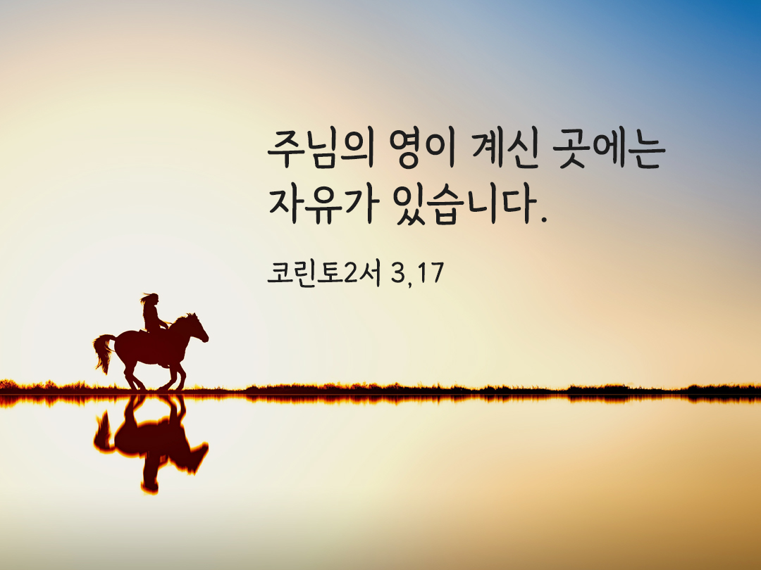 주님의 영이 계신 곳에는 자유가 있습니다. (코린토2서 3,17)