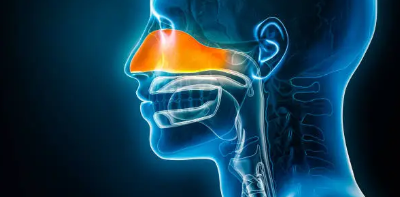 라이노증후군이란