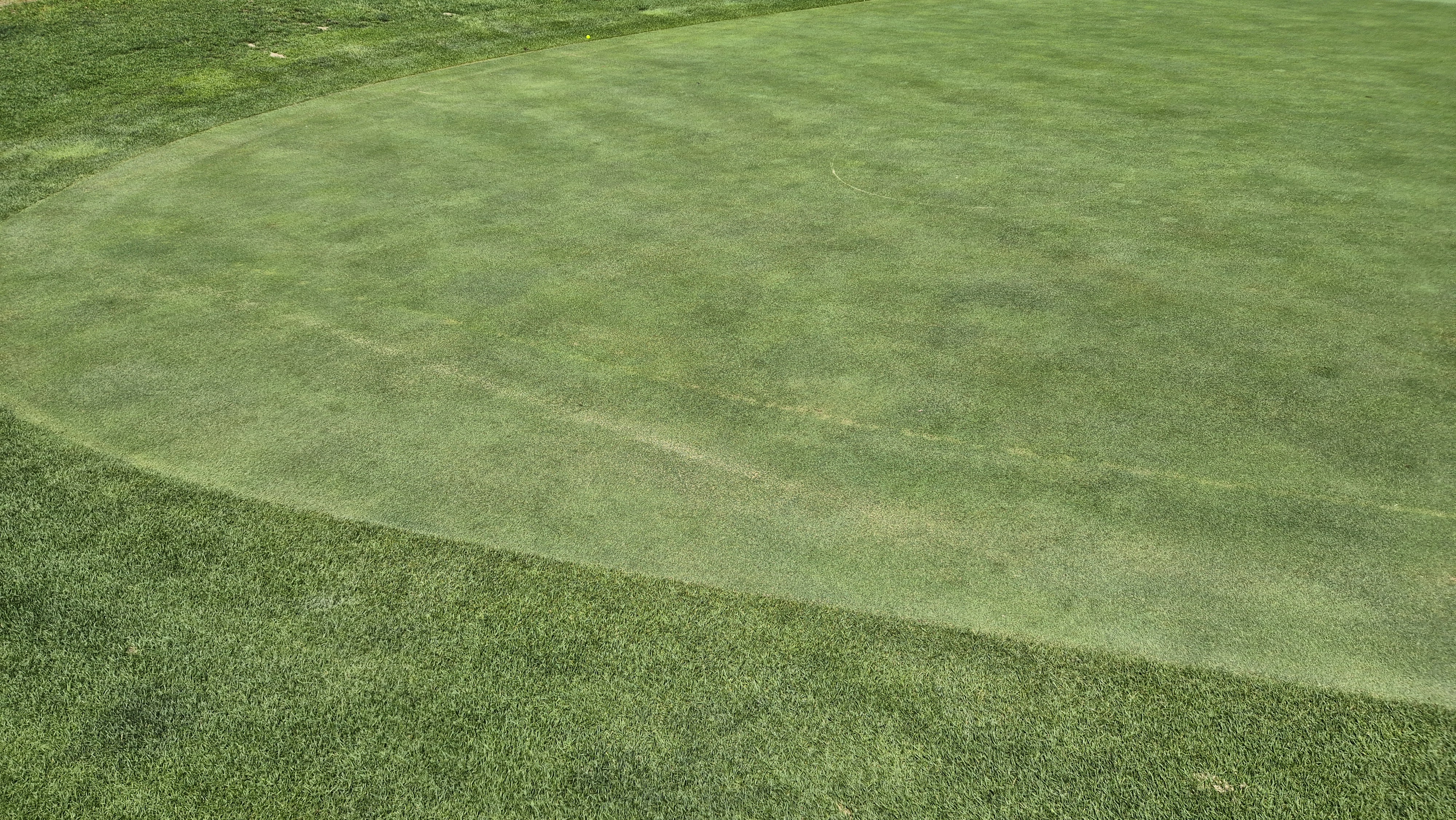 오너스gc 라운드 후기