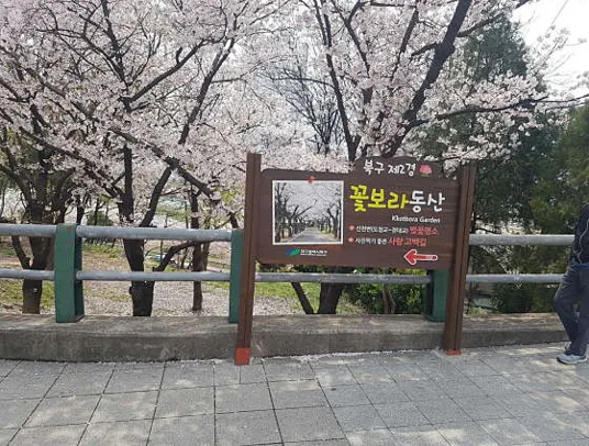 꽃보라동산