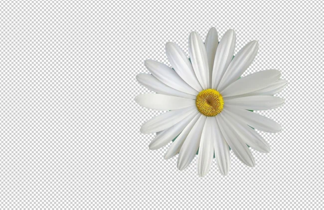 포토샵 배경 제거