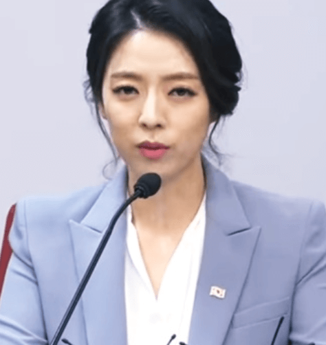 배현진 피습 범인 중학생