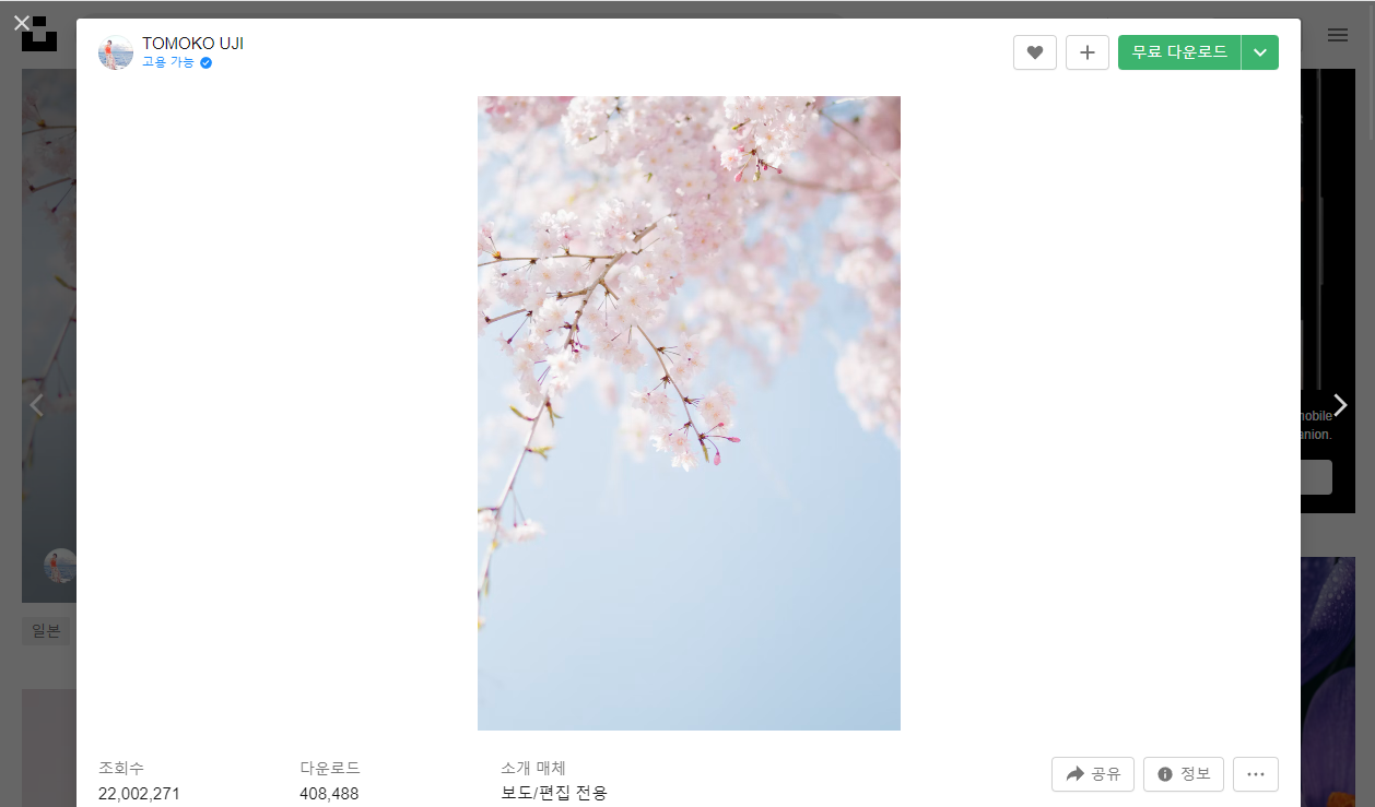 무료 이미지 사이트