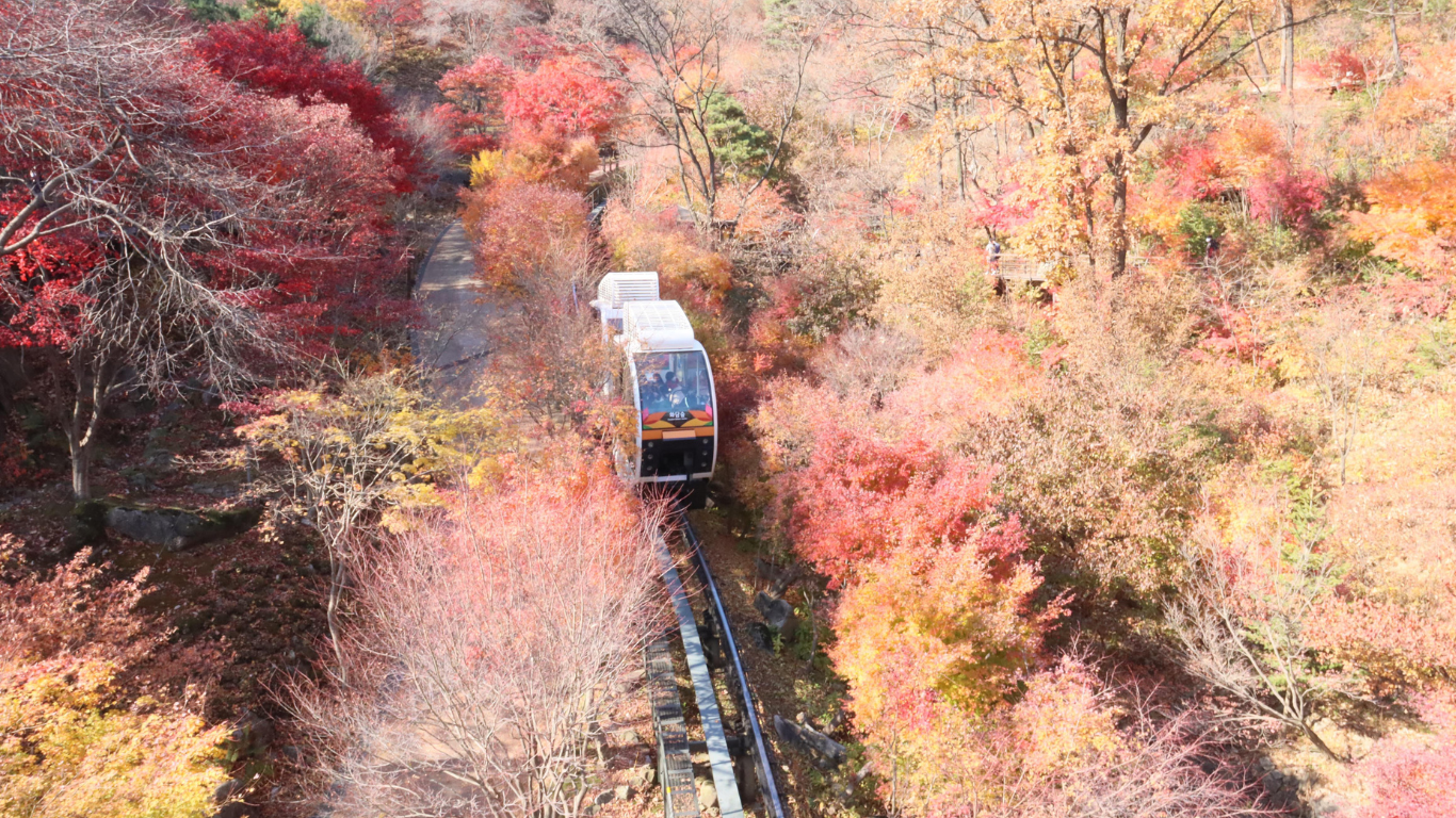 화담숲 모노레일 예약 방법