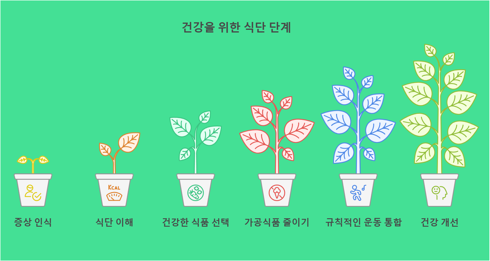 건강을 위한 식단 단계 이미지