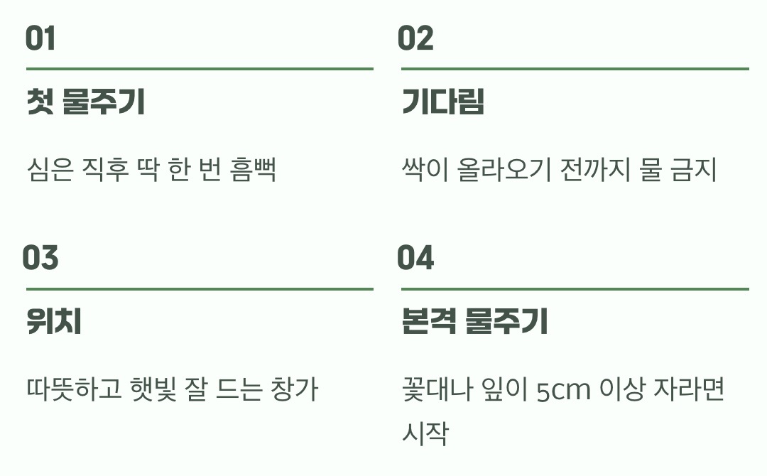 꽃을 부르는 마법, 빛과 물의 조화