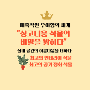 매혹적인 우아함의 식물 싱고니움식물의 매력을 밝히다
최고의 공기 정화 식물 최고의 인테리어 식물 싱고니움 식물