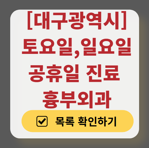대구광역시 주말 토요일 일요일 흉부외과 진료 병원 목록 ❘ 공휴일 진료 영업 병원 리스트 찾기