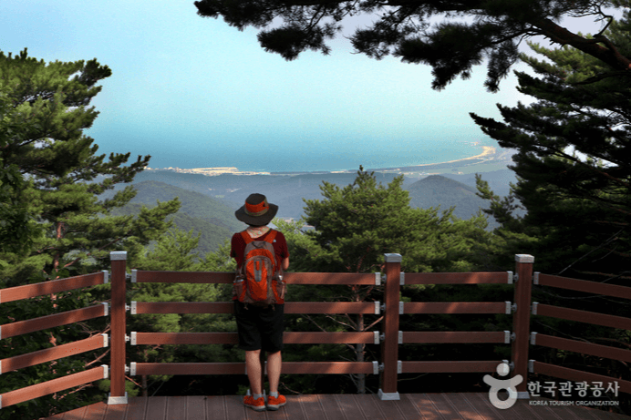 국립 칠보산 자연휴양림