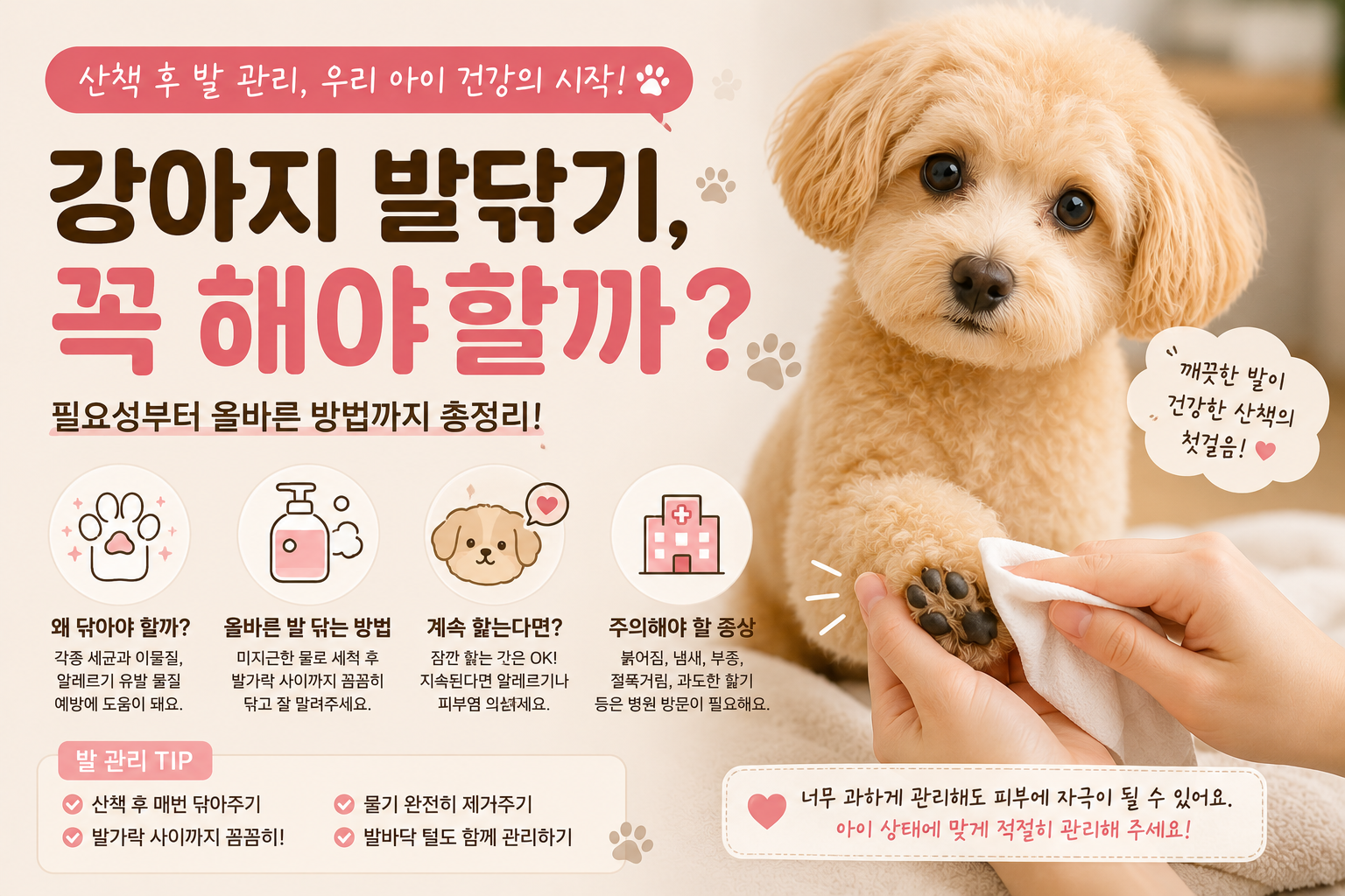 강아지 발 닦기