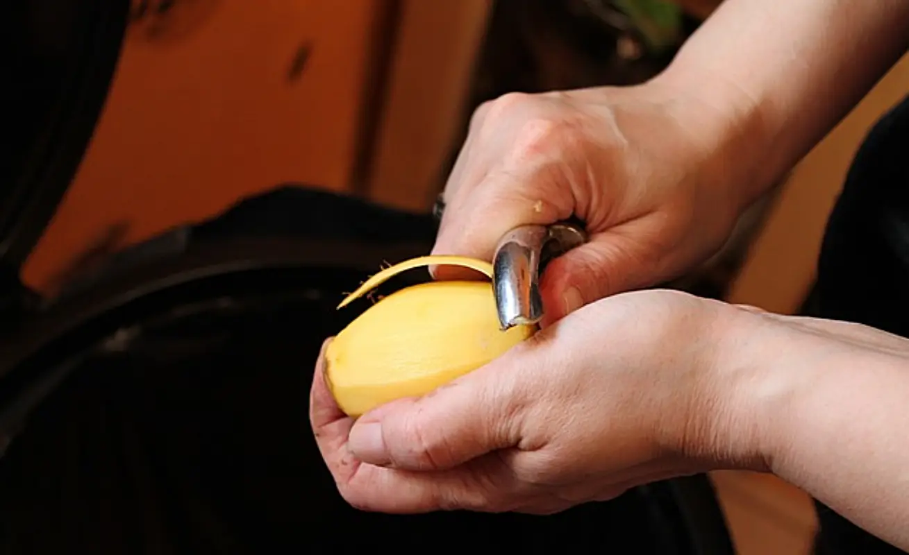 감자 냉동보관법