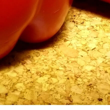 파프리카효능