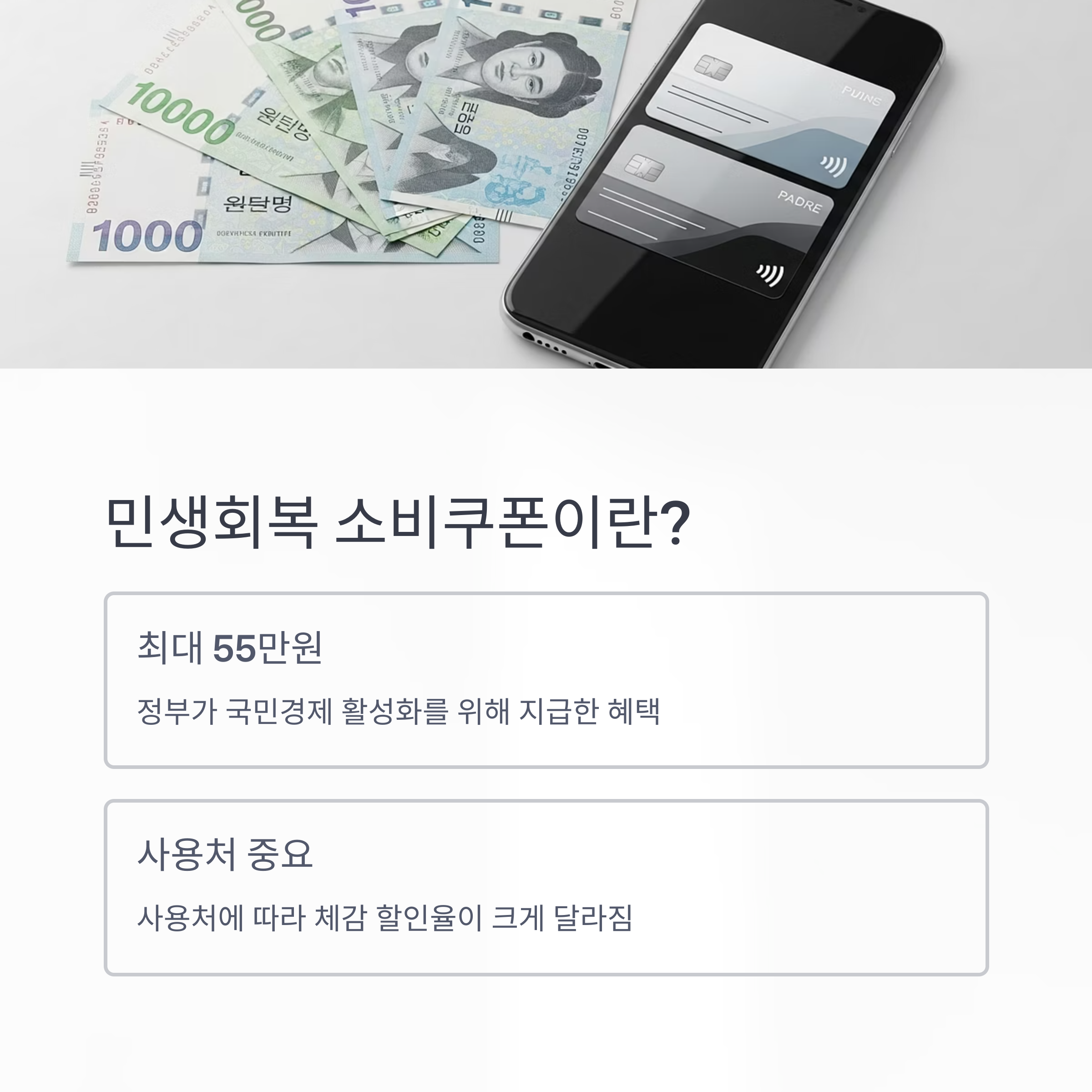 민생회복 소비쿠폰이란?