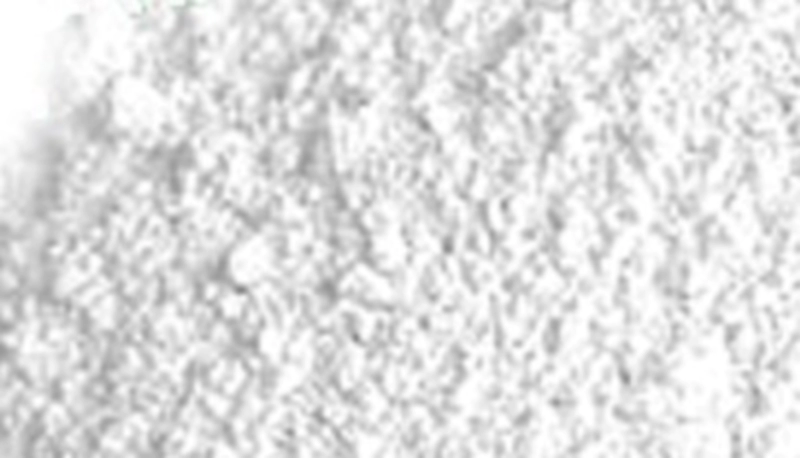 인식향산 방부제란?