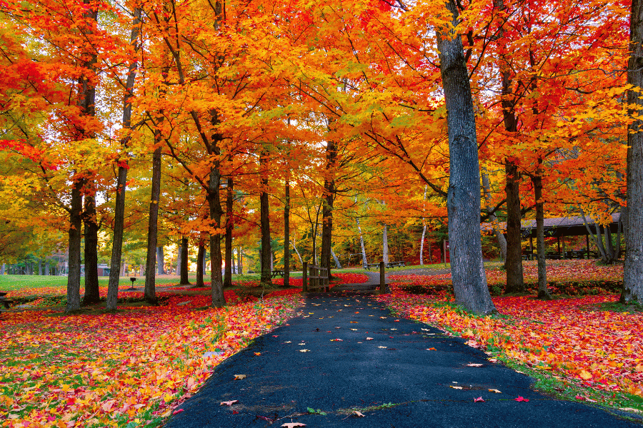 계절별 여행 포토존 추천