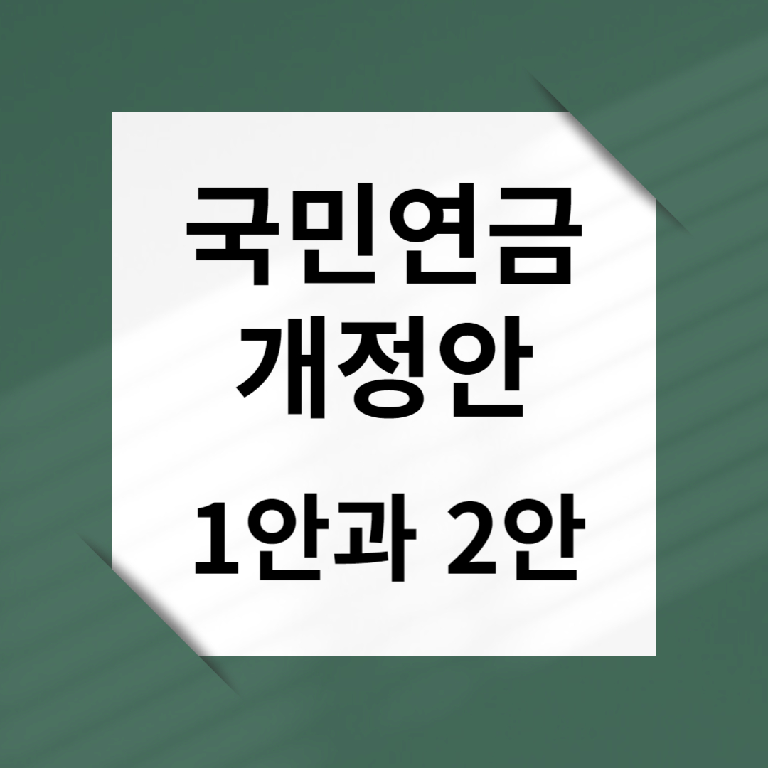 국민연금 개정안