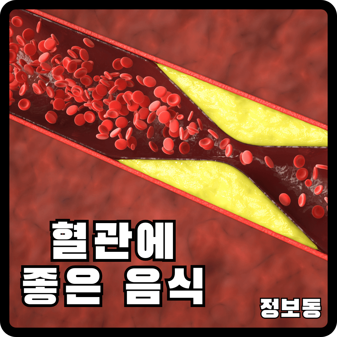 혈관에 좋은 음식 및 영양제