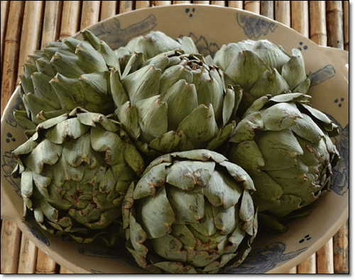 아티초크