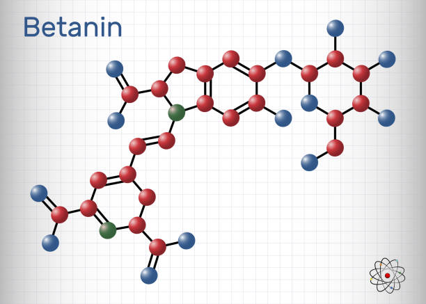 베타 레인 효능