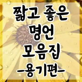 좋은 짧은 글귀 가슴을 울리는 짧은 감동 글귀 추천 모음집_19