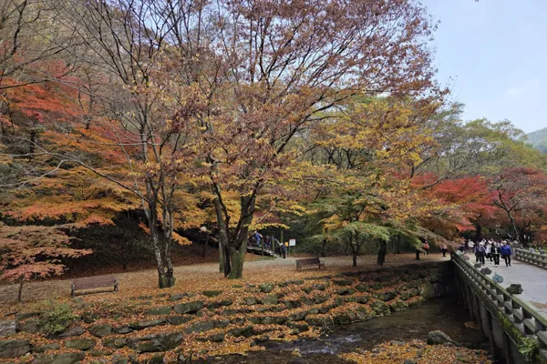 강천산3