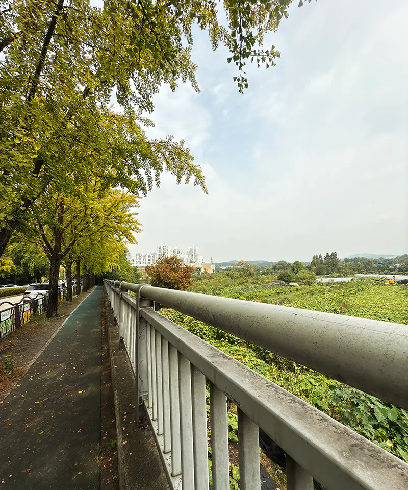 아이폰16-프로-촬영