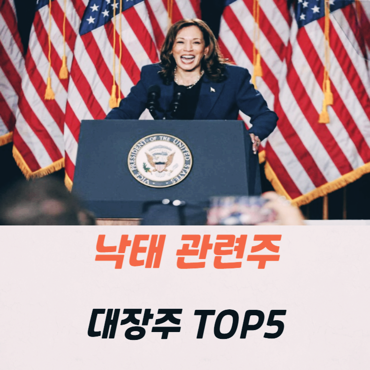 낙태 관련주 대장주 테마주 수혜주 TOP5