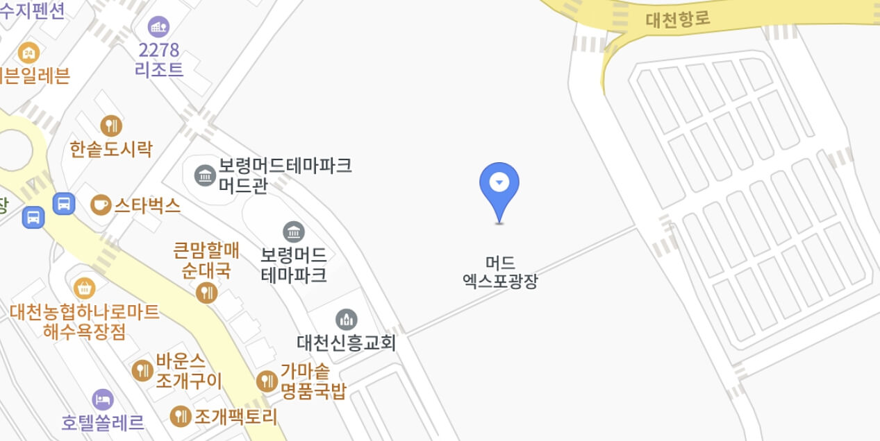 보령머드축제 일정 초청가수 입장료