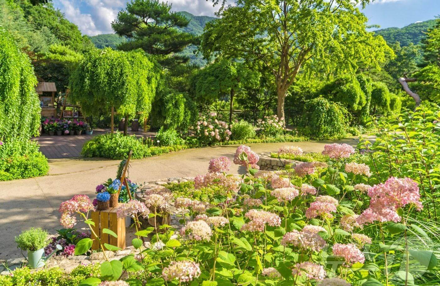 2024 화담숲 예약 가이드