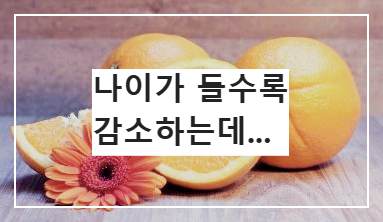 코엔자임Q10 오렌지