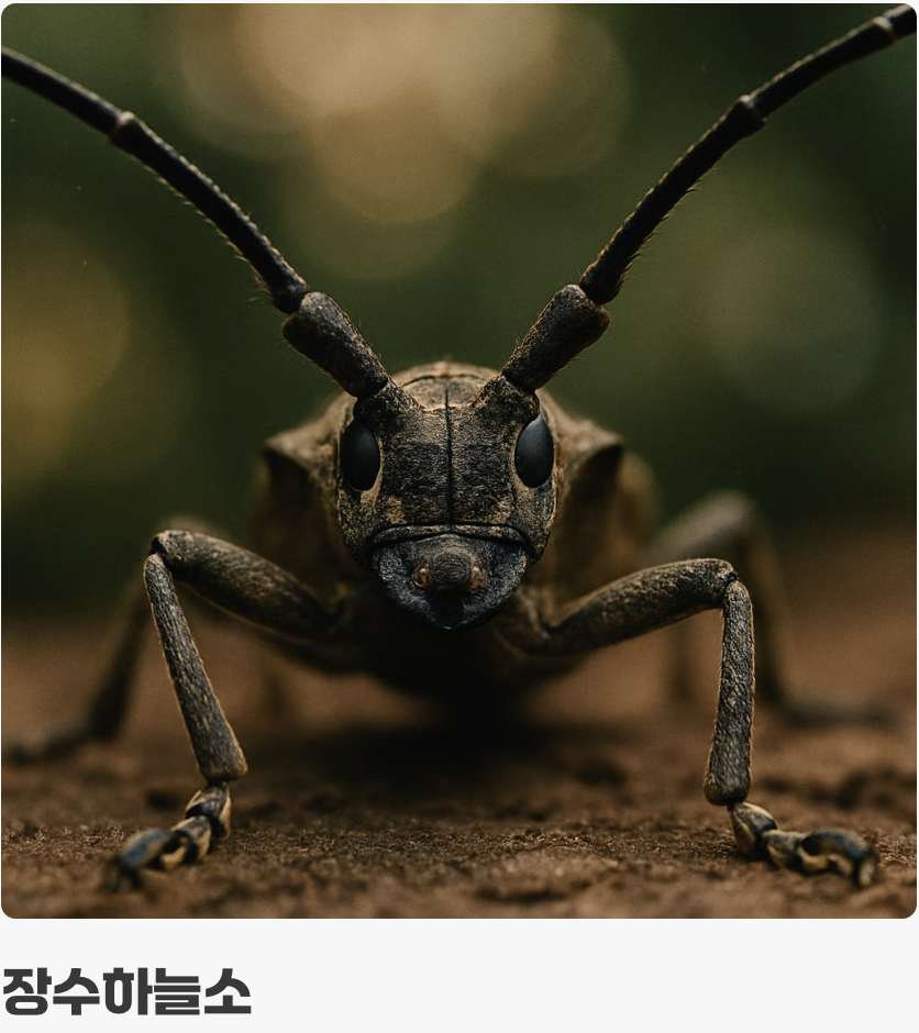 가장 결정적인 차이, '뿔' vs '더듬이'