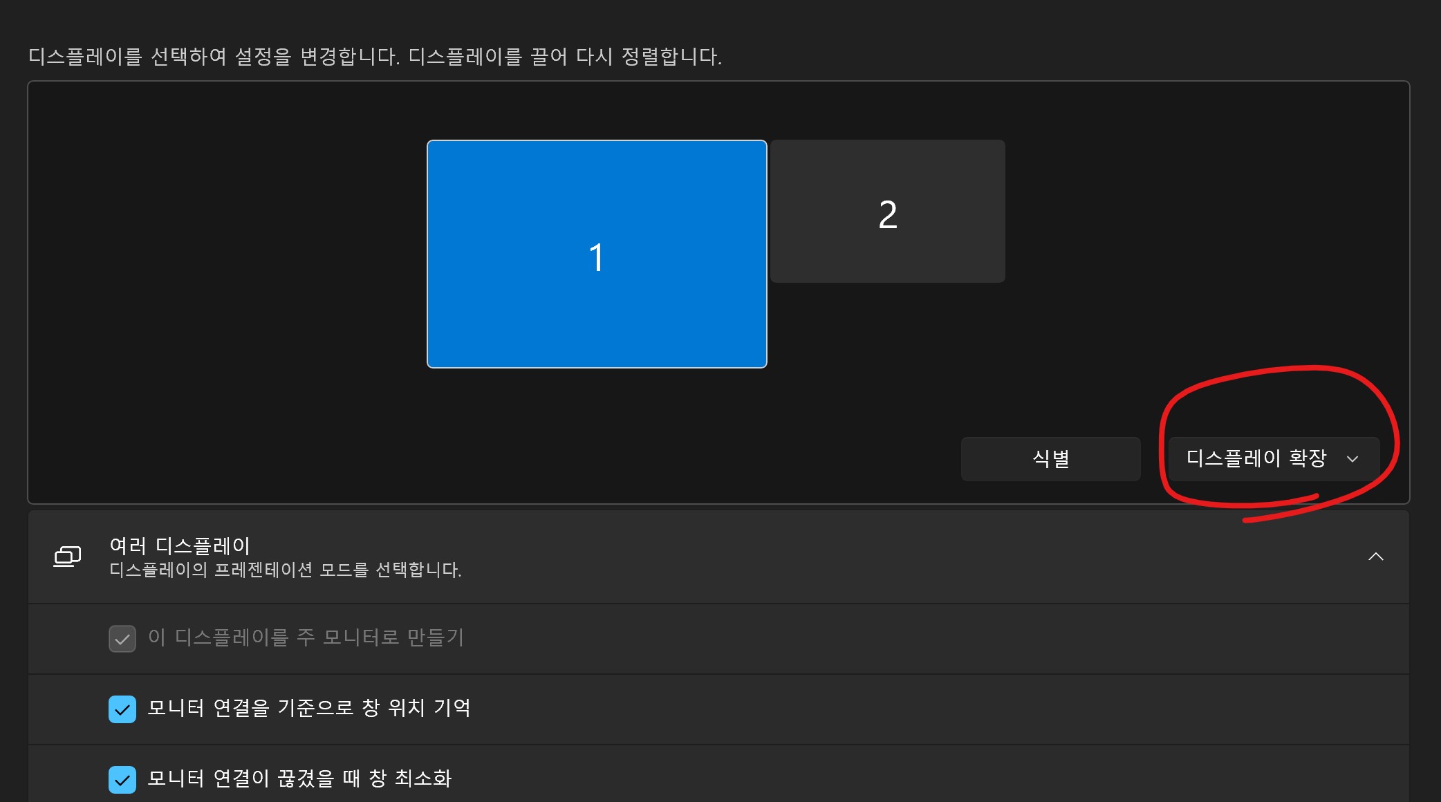 디스플레이 확장