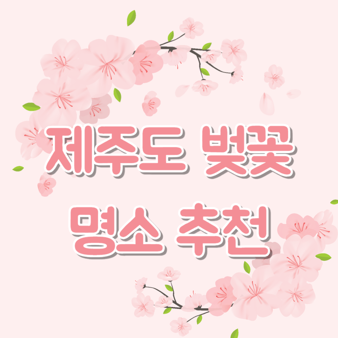 제주도 벚꽃 명소 추천