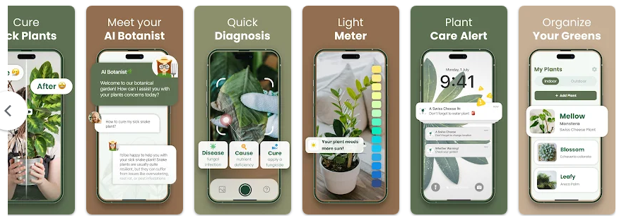 무료 식물이름 찾기 어플, 꽃 이름 찾기, 식물도감