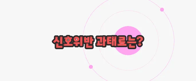 신호위반 과태료 천천히 들여다보죠