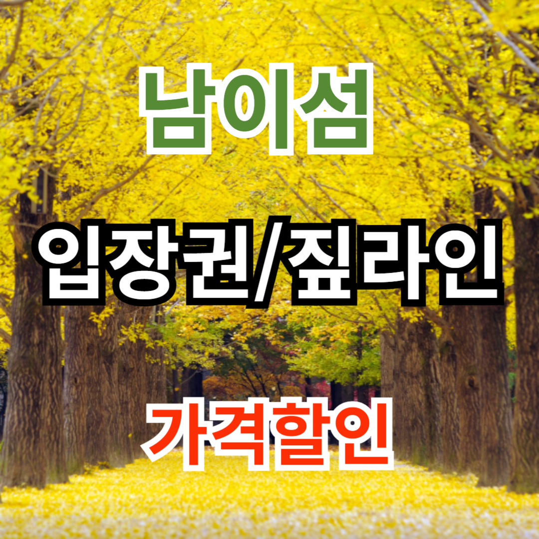 남이섬 입장권 짚라인 가격 할인