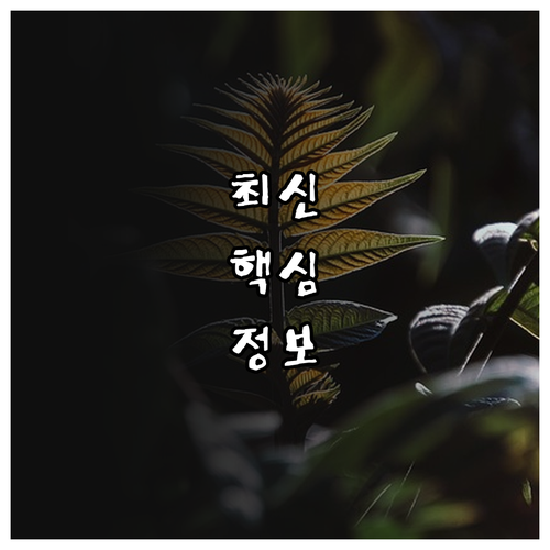 2025 공영주차장 감면 누가 얼마나..