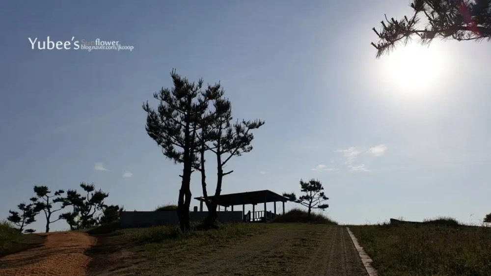 오름 정상 모습