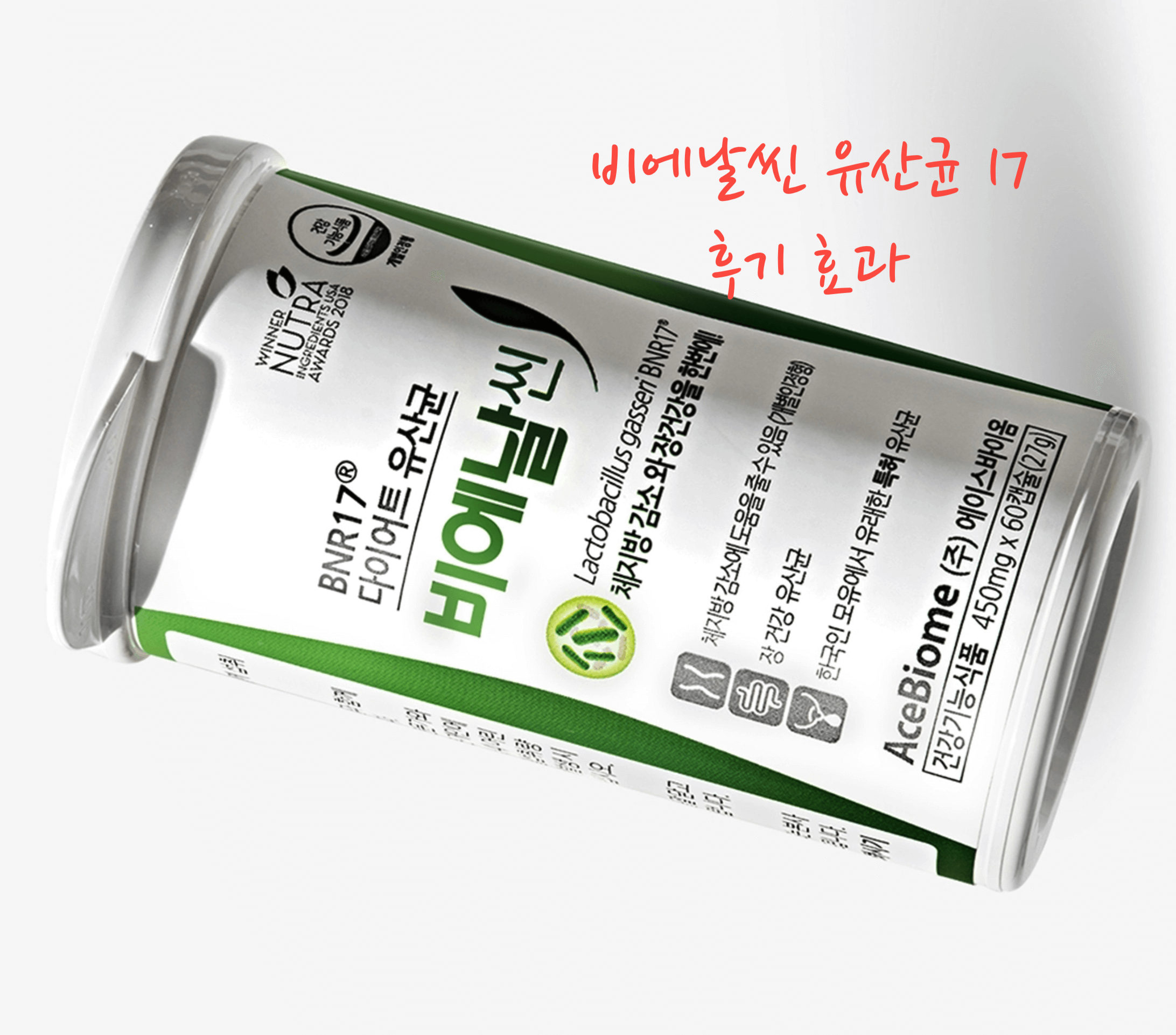 비에날씬 유산균