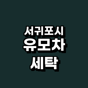 제주 서귀포시 유모차 세탁