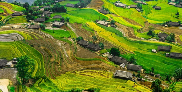 자연 풍경 사진