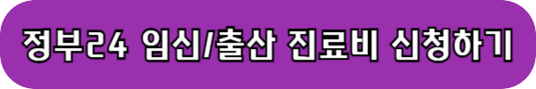 임신출산지원금