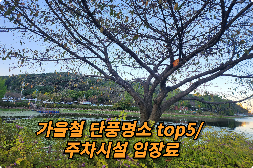 가을철단풍명소 top5/주차시설입장료