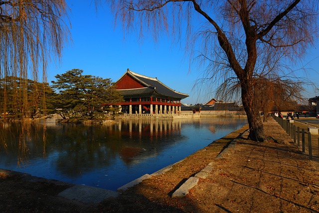 2025 하반기 경복궁 야간개장 신청 방법과 추천 코스 완전 정리
