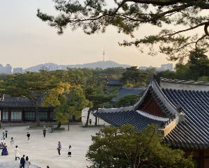 창경궁 야간개장 인터넷 예약 /창경궁 가는 방법/ 무료관람