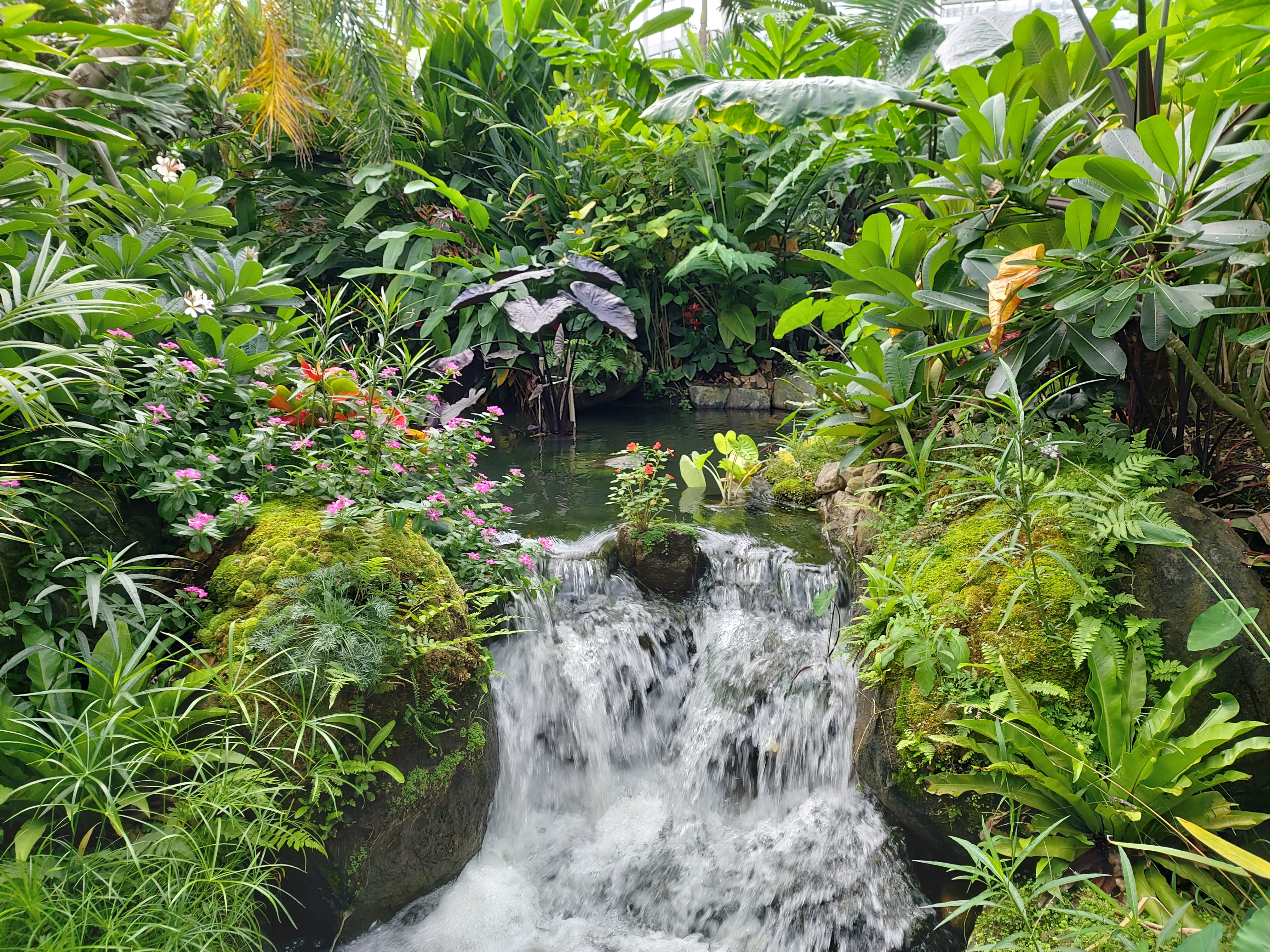 국립세종수목원