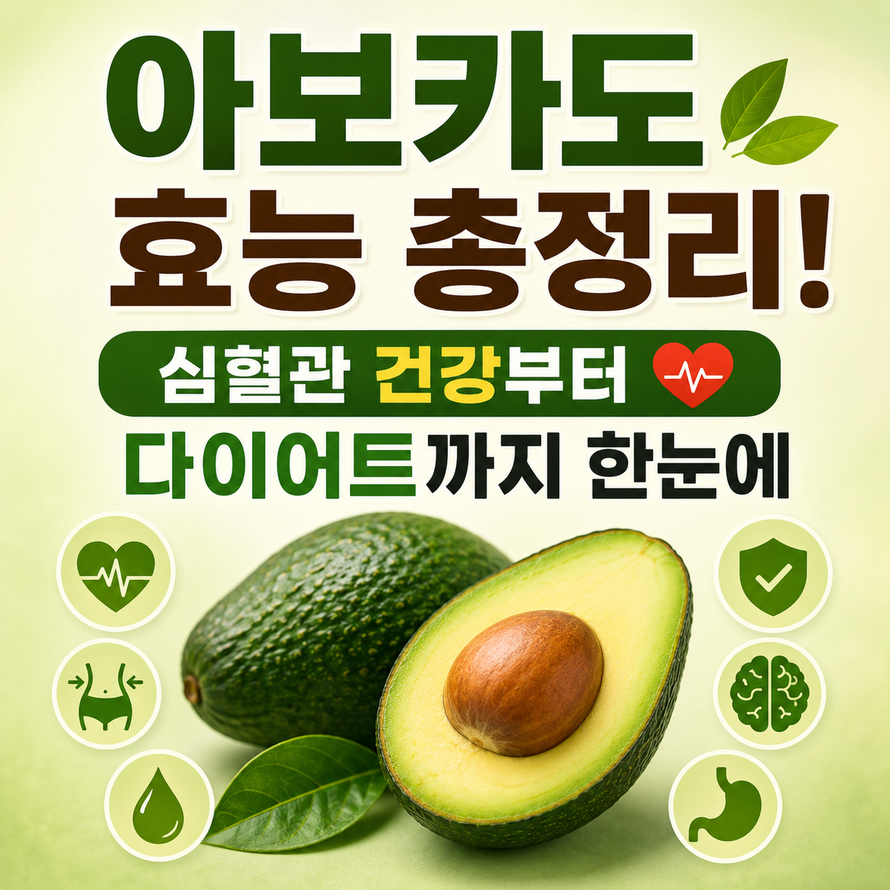 아보카도 효능