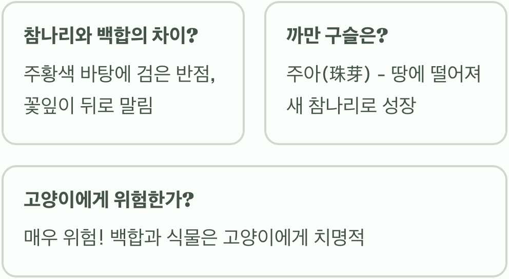 참나리 꽃말과 상징적 의미 총정리