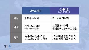 실버스테이, 실버타운 비교