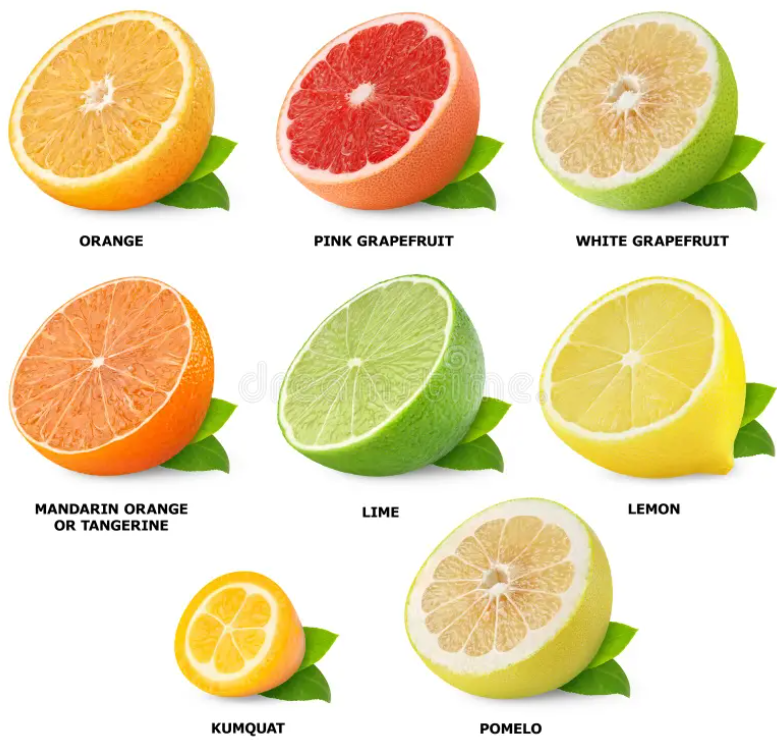 혈압에 좋은 음식들 추천 (고혈압관리식단 식재료)